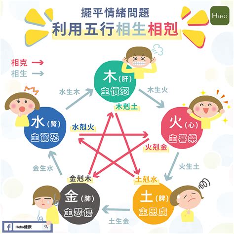 五行 情緒|中醫知識 